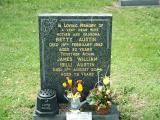 image of grave number 301315